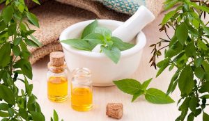 Einführung in die Aromatherapie - Seminar in Berlin