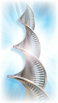DNA Reconnection Seminar mit Cindy Bentley in Berlin