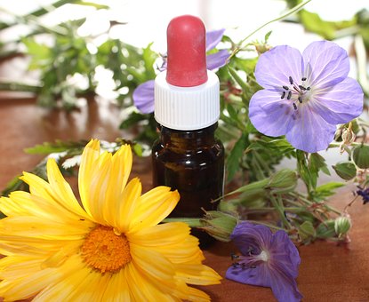 Ganzheitliche Aromatherapie Beratung in Berlin